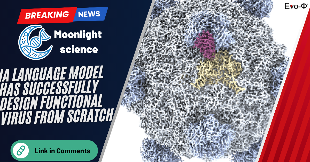 A breakthrough genomic language model called Evo has successfully written the first fully functional artificial genomes of living viruses from scratch.
